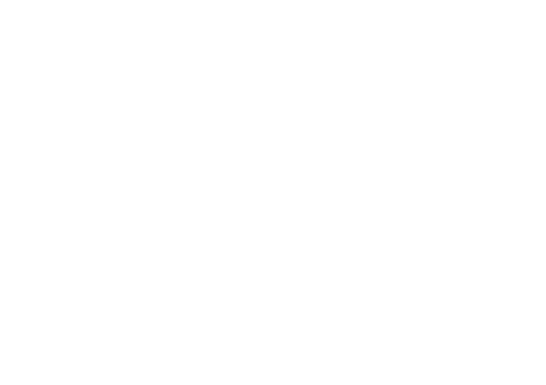 NXT Racing